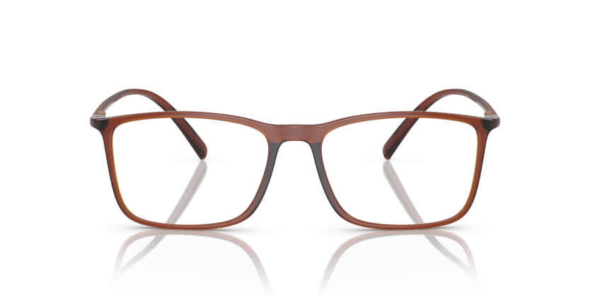 Transparent Brown - 0AR7244U 8056597827782