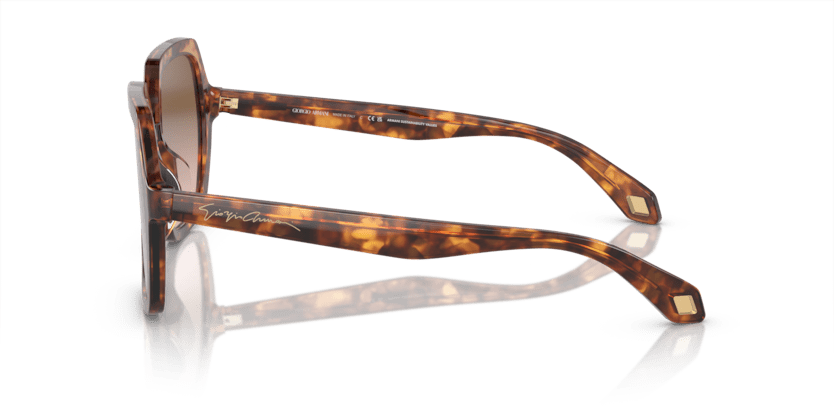 Orange Havana/Red Havana - 0AR8193U 8056597942140