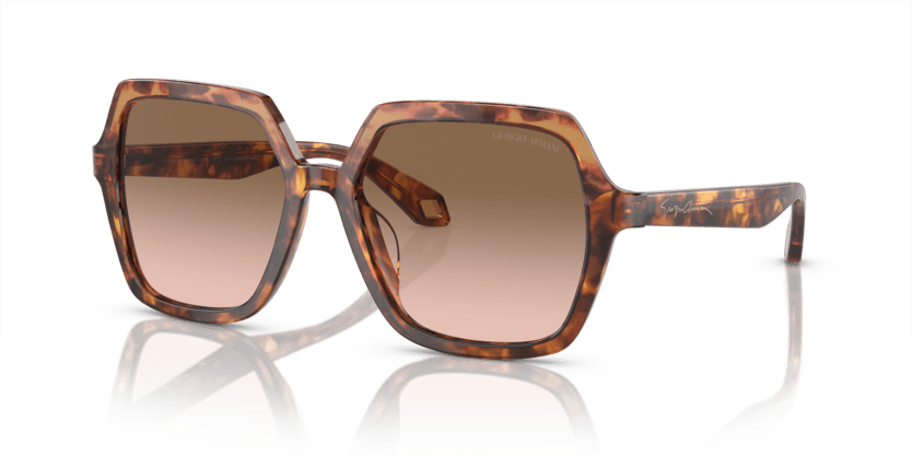 Orange Havana/Red Havana - 0AR8193U 8056597942140