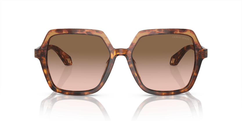 Orange Havana/Red Havana - 0AR8193U 8056597942140