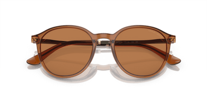 Trasparent Brown - 0AR8196 8056597942478