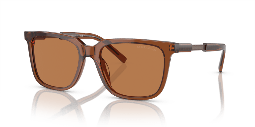 Trasparent Brown - 0AR8202U 8056597951845