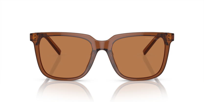 Trasparent Brown - 0AR8202U 8056597951845