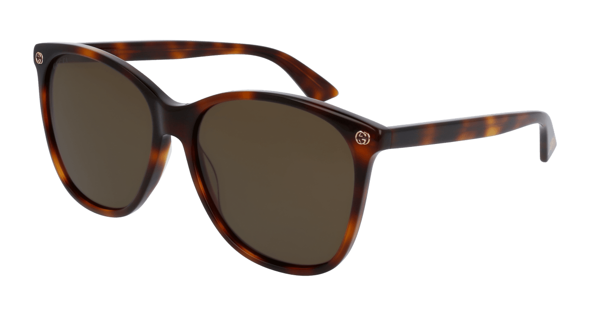 Gucci GG0024S Havana 889652048253