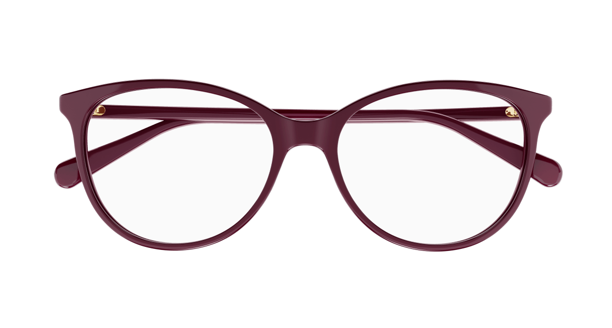 Gucci GG0550O Burgundy 889652407241