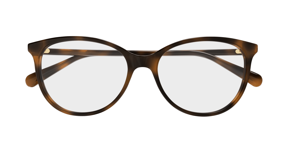 Gucci GG0550O Havana 889652258362