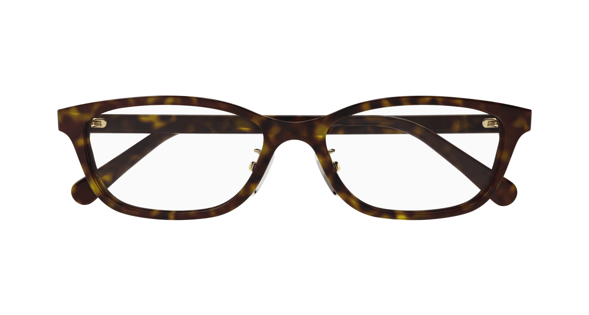 Gucci GG0931OJ Havana 889652436029
