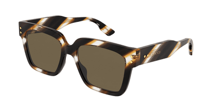 Gucci GG1084S Havana 889652378534