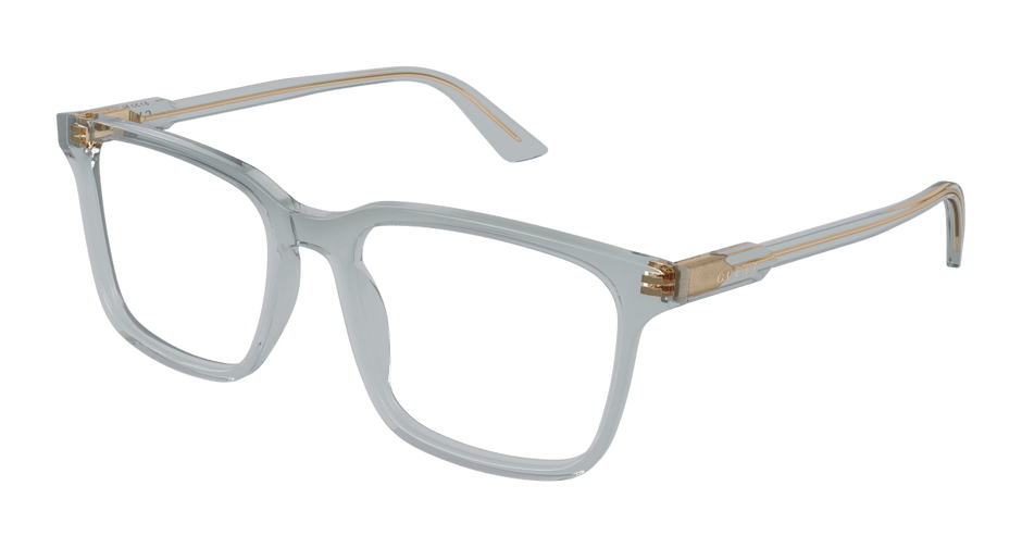 Gucci GG1120O Grey 889652519654