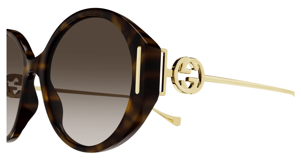 Gucci GG1202S Havana 889652392455
