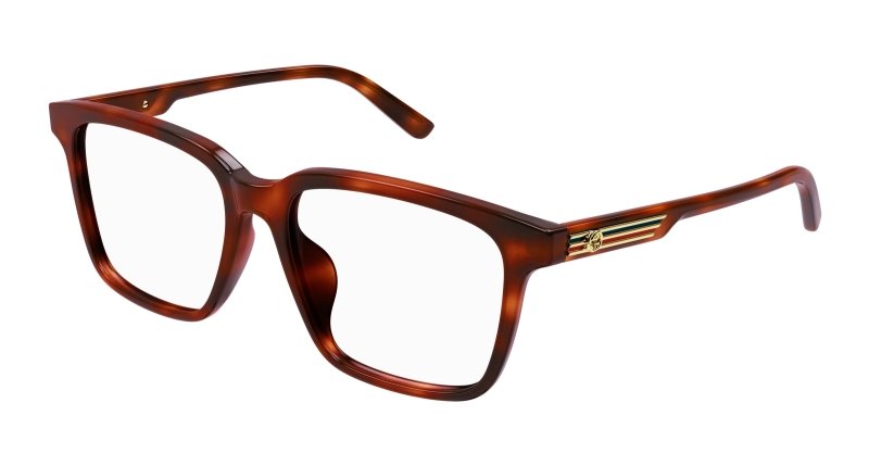 Gucci GG1293OA Cat - Eye Eyeglasses - Gucci - Havana - 54 MM - Ardor Eyewear 889652413594