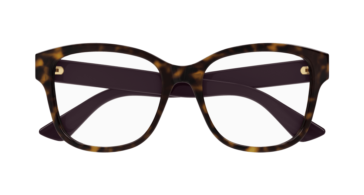 Gucci GG1340O Havana 008 889652525051