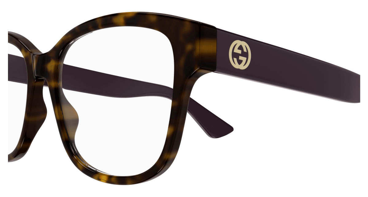 Gucci GG1340O Havana 008 889652525051