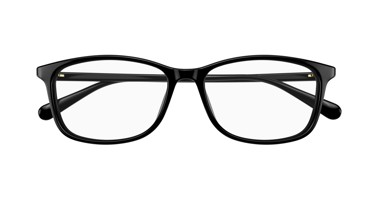 Gucci GG1354OA Black 889652416113