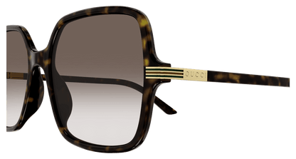 Gucci GG1449S Havana 889652438993