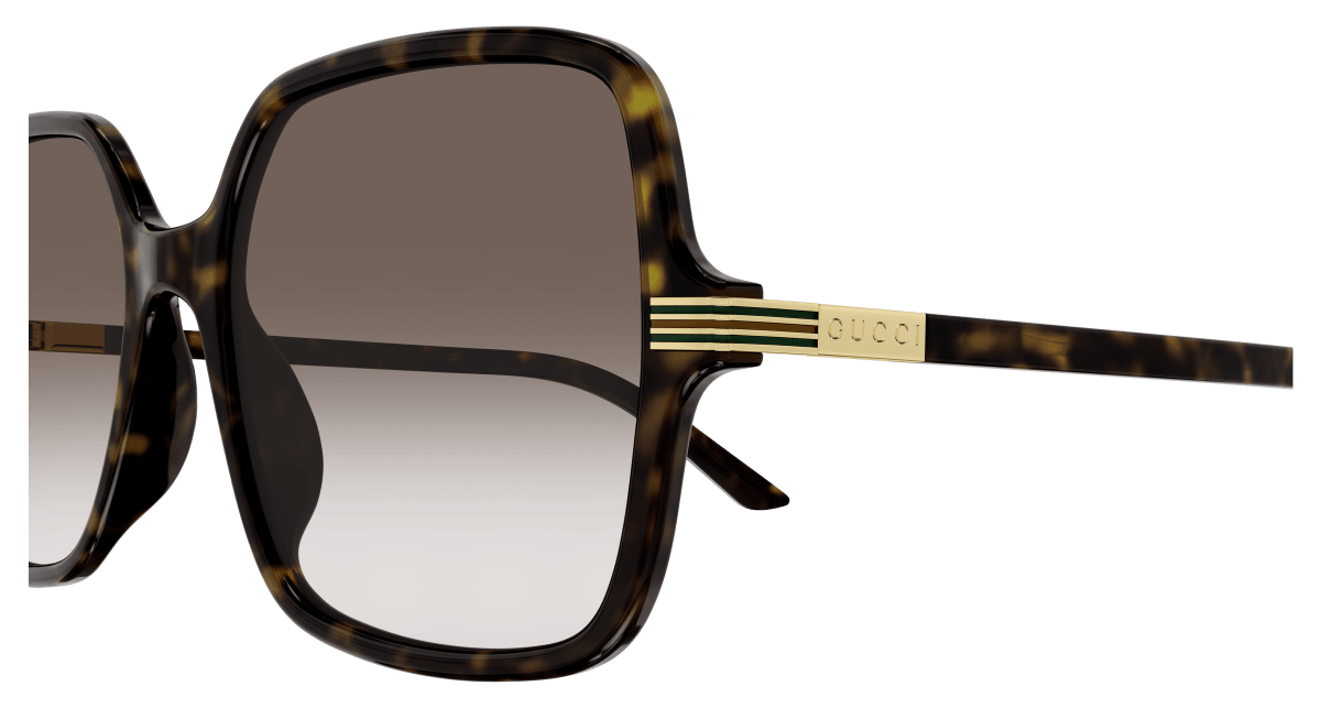 Gucci GG1449S Havana 889652438993