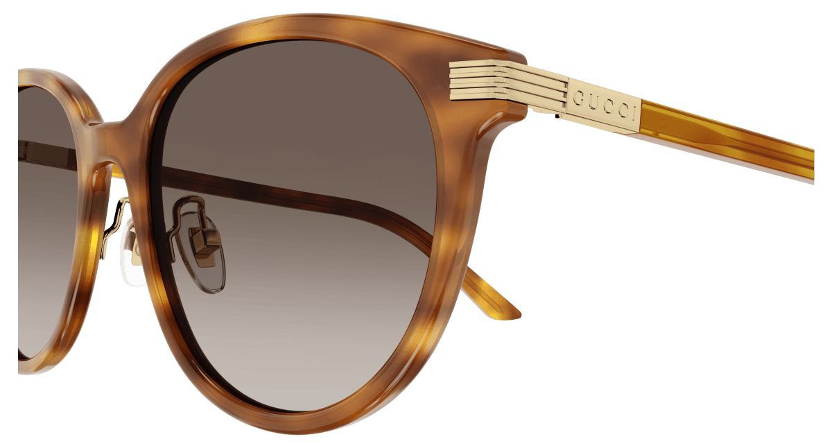 Gucci GG1452SK Havana 889652440996
