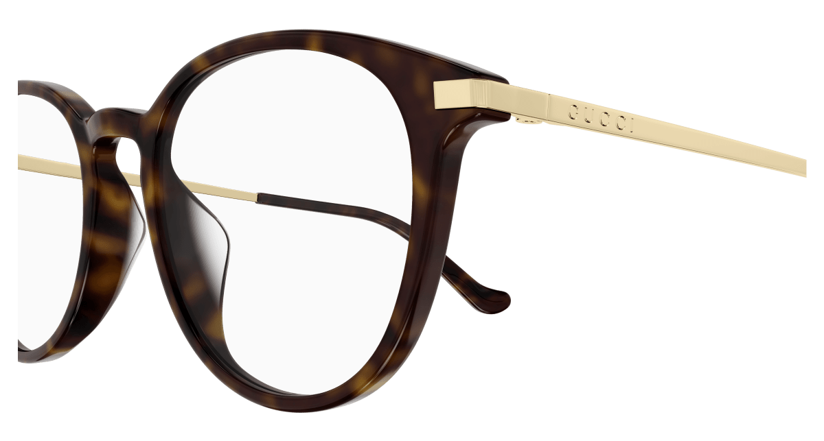 Gucci GG1466OA Havana 889652440569