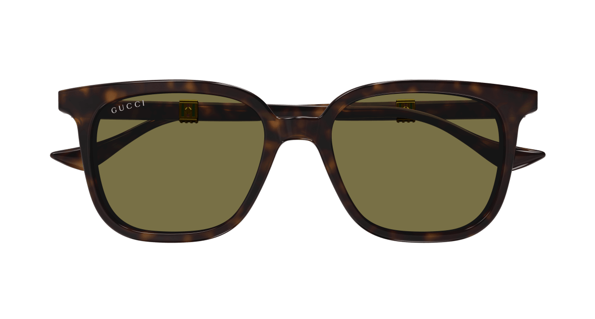 Gucci GG1493S Havana 889652470818