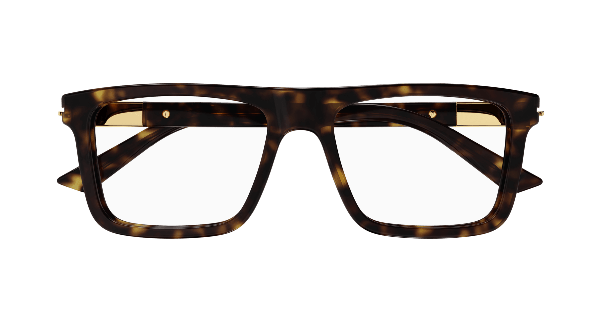 Gucci GG1504O Havana 889652470078