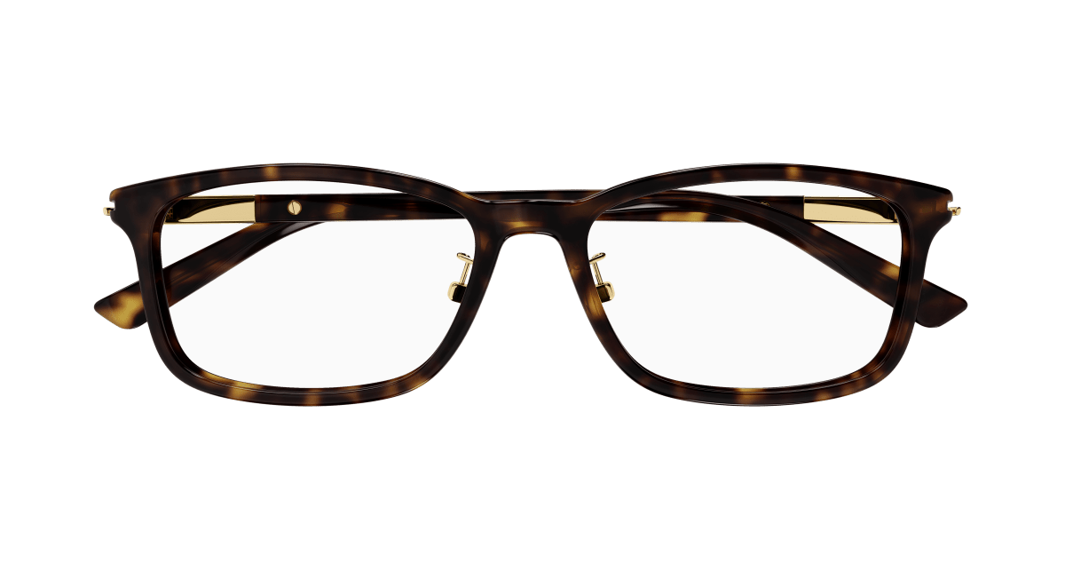 Gucci GG1506OJ Havana 889652473499