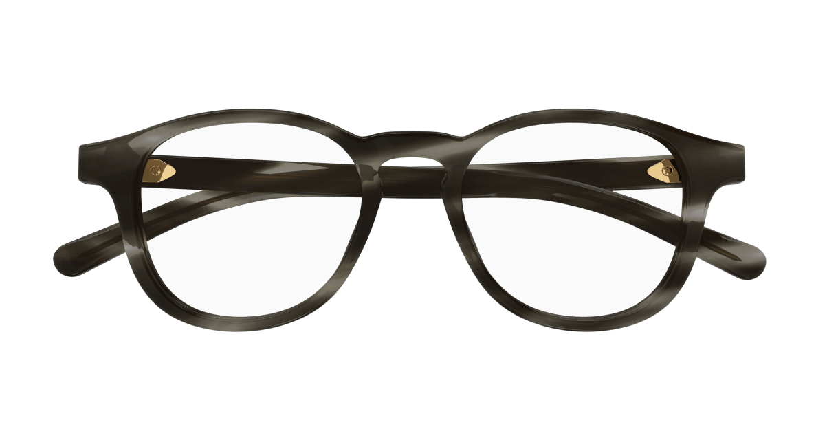 Gucci GG1510O Havana 889652470450