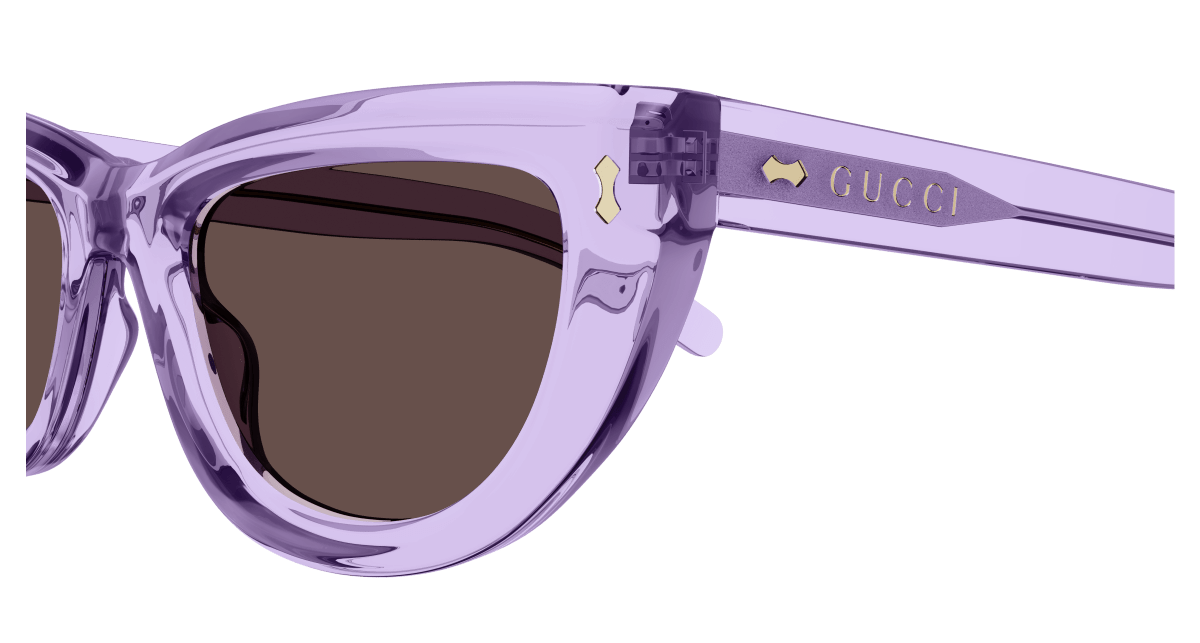 Gucci GG1521S Violet 889652467641