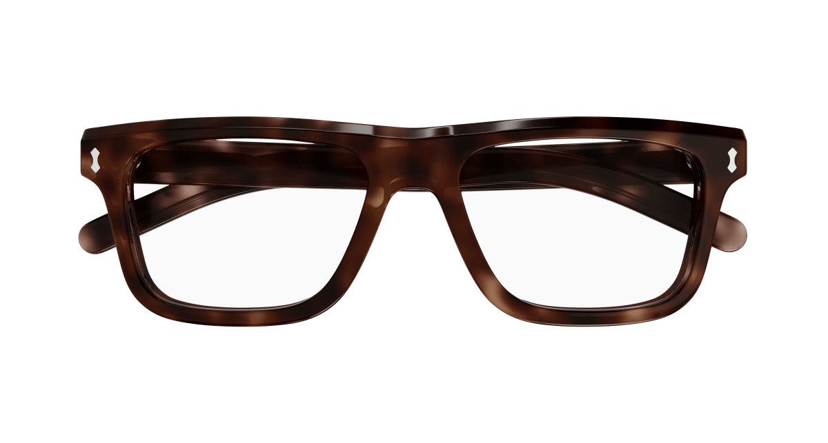 Gucci GG1525O Havana 889652467504