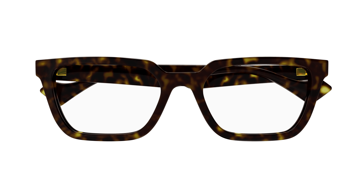 Gucci GG1539O Havana 889652467870