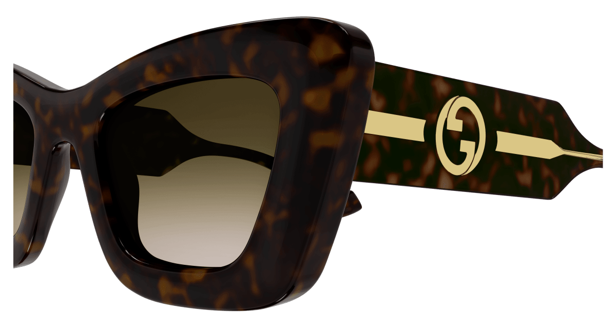 Gucci GG1552S Havana 889652469492