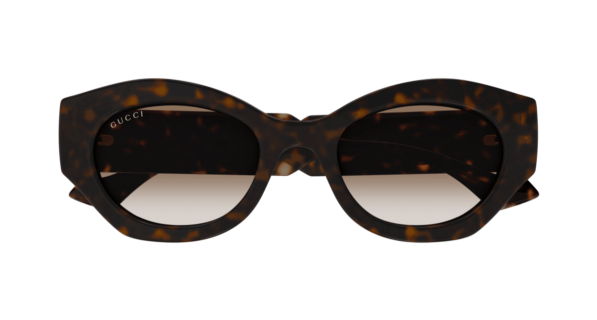 Gucci GG1553S Havana 889652469539