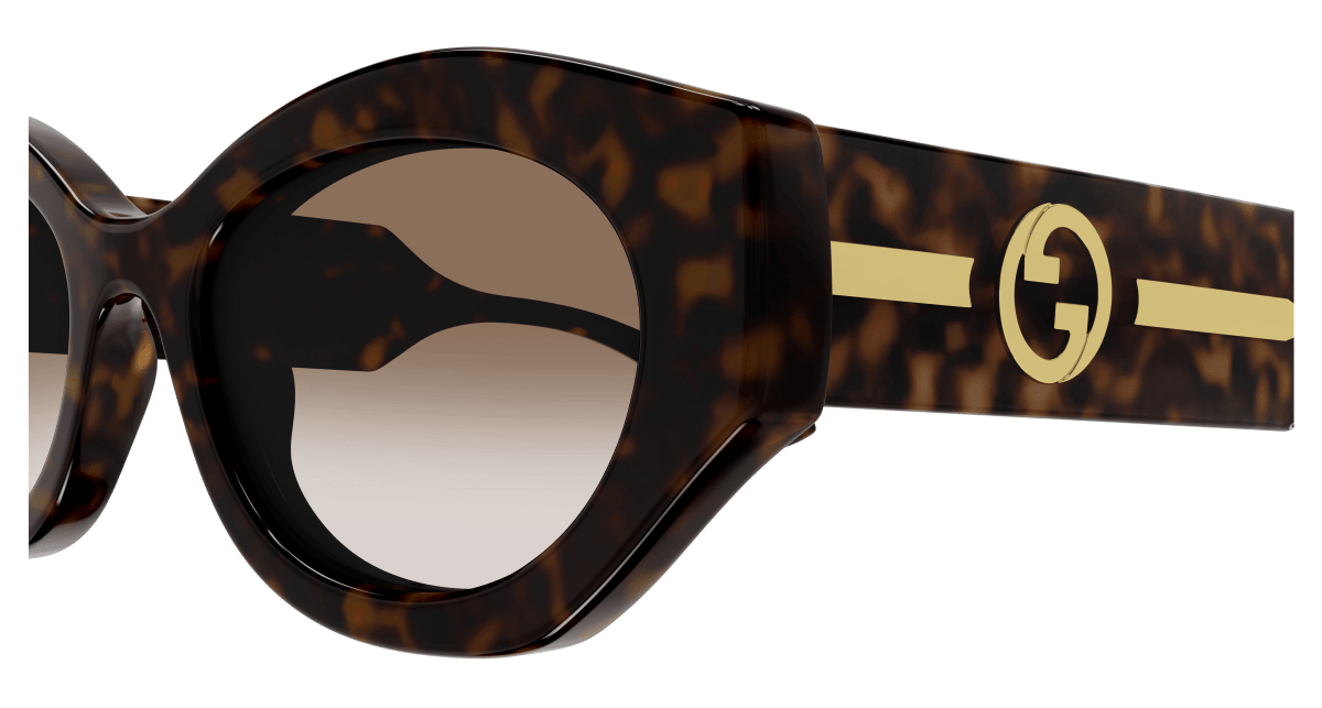 Gucci GG1553S Havana 889652469539