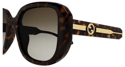 Gucci GG1557SK Havana brown 889652473017