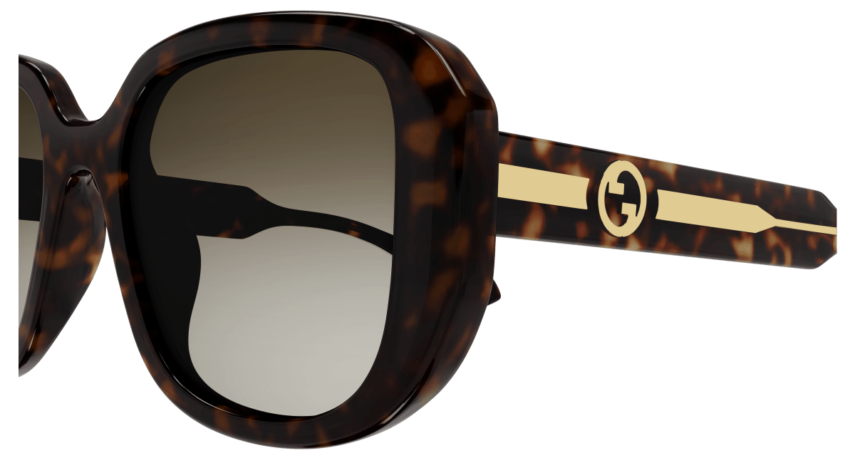 Gucci GG1557SK Havana brown 889652473017