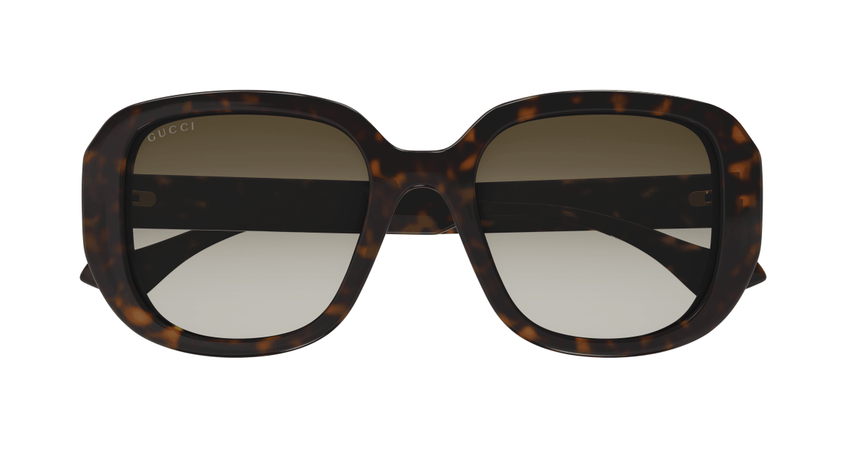 Gucci GG1557SK Havana brown 889652473017
