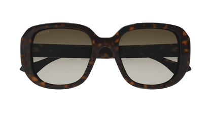 Gucci GG1557SK Havana brown 889652473017