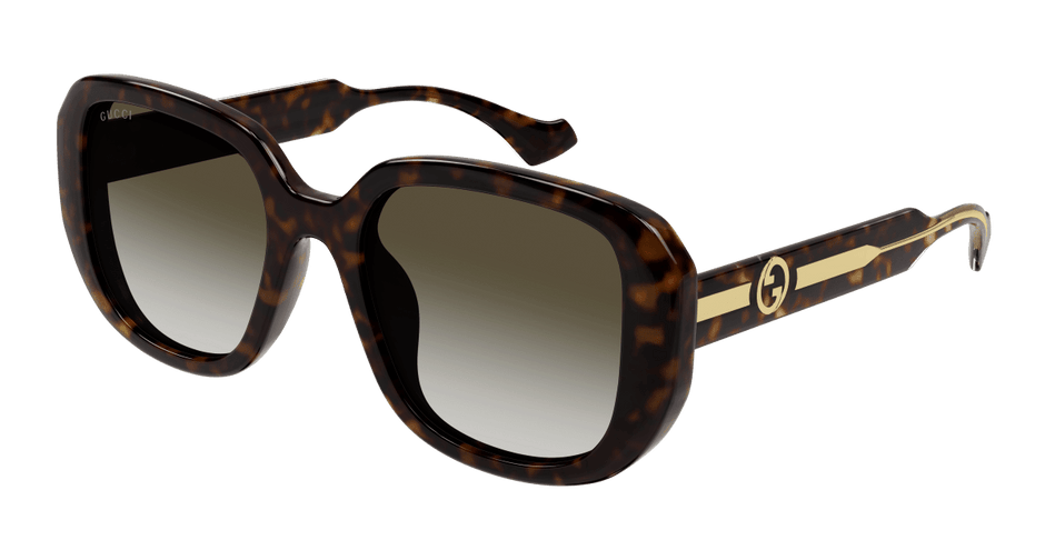 Gucci GG1557SK Havana brown 889652473017