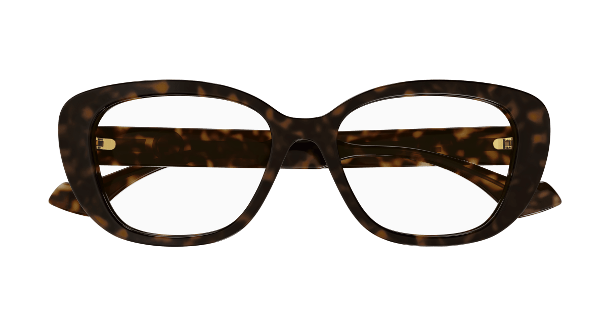 Gucci GG1559OK Havana 889652473093
