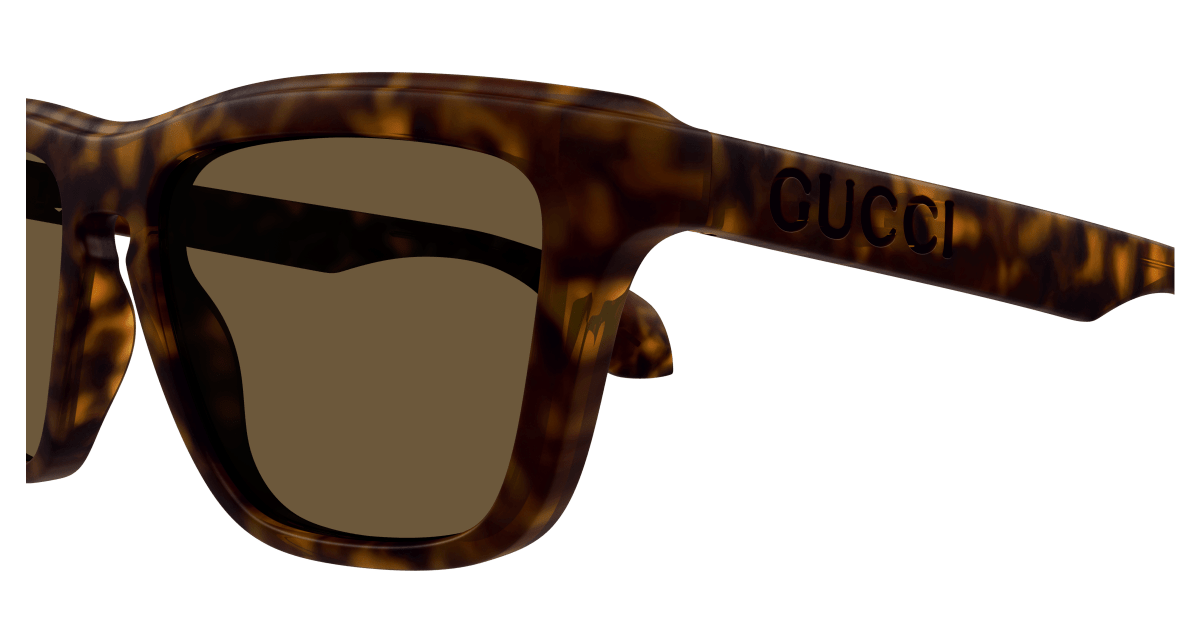 Gucci GG1571S Havana 889652468549