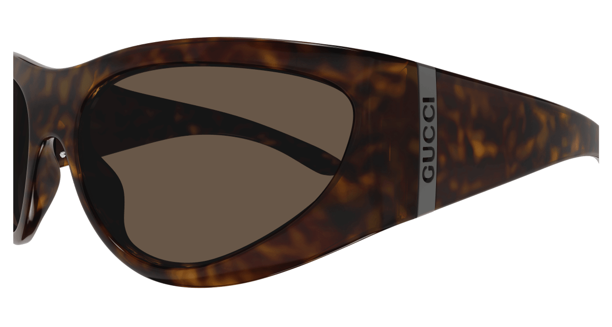 Gucci GG1575S Havana 889652468884