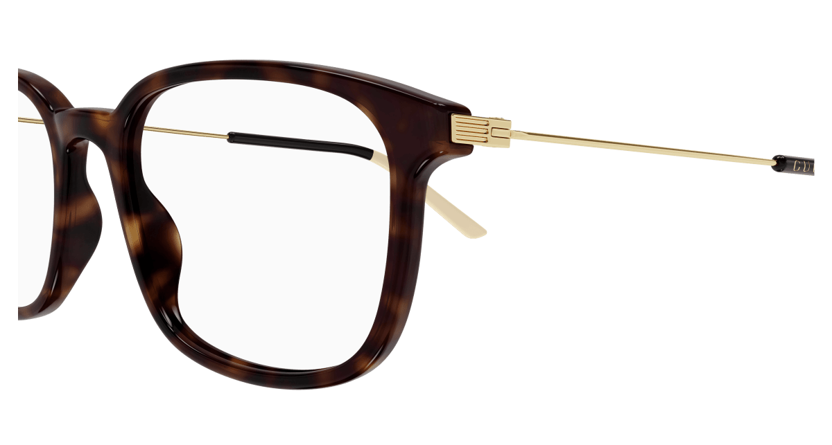 Gucci GG1577O Havana 889652469874