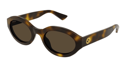Gucci GG1579S Havana 889652468990
