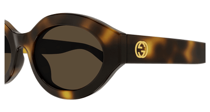 Gucci GG1579S Havana 889652468990