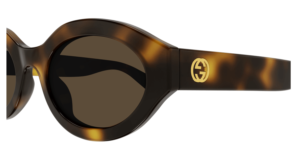 Gucci GG1579S Havana 889652468990