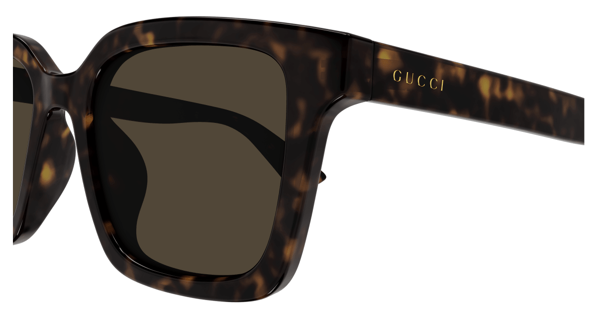 Gucci GG1582SK Havana 889652473161