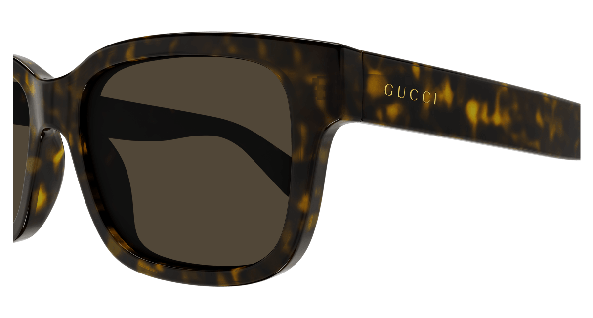 Gucci GG1583S Havana 889652468952