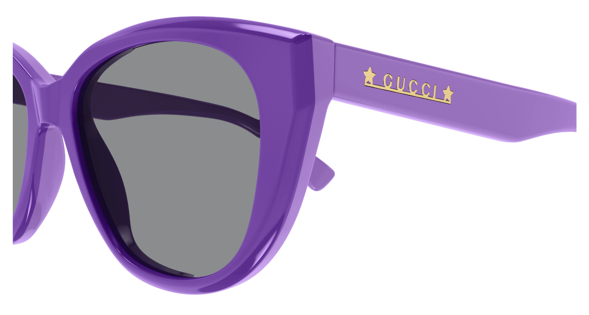 Gucci GG1588S Violet 889652467931