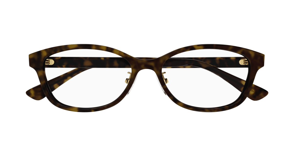 Gucci GG1612OJ Havana 889652473802