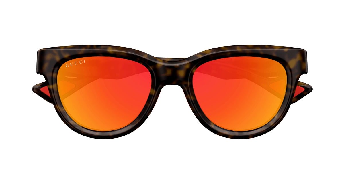 Gucci GG1620S Havana 889652473994