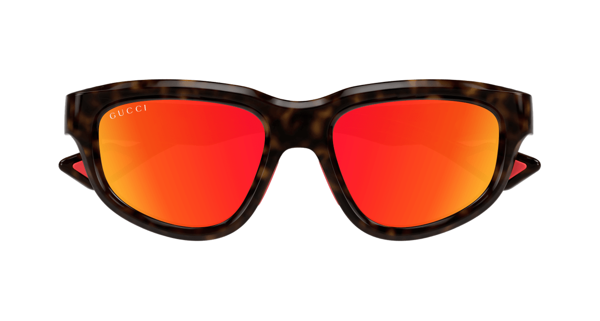 Gucci GG1622S Havana 889652474489